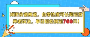 减肥食谱赛道，自带热度可长期运营，养老玩法，单日轻松搞定769-赚金金-技能学习分享