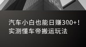 汽车小白也能日入3张!实测懂车帝搬运玩法-赚金金-技能学习分享