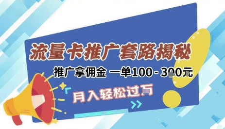 2025年外面卖1500的流量卡项目最新玩法，绿色无门槛对新手非常友好，日入3张+-赚金金-技能学习分享