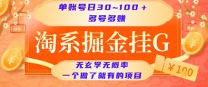 淘系掘金挂G项目,单账号日收益30~100+,多号多得,一个做了就有的项目【揭秘】-赚金金-技能学习分享