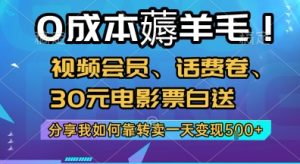 0成本薅羊毛!视频会员、话费卷、30元电影票白送,分享我如何靠转卖一天变现5张+【揭秘】-赚金金-技能学习分享