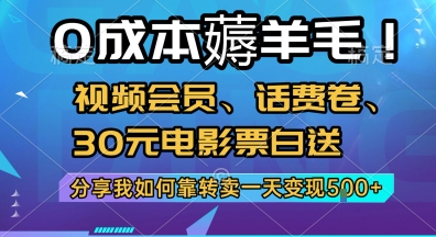 0成本薅羊毛!视频会员、话费卷、30元电影票白送，分享我如何靠转卖一天变现5张+【揭秘】-赚金金-技能学习分享