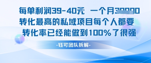 每单利润40一个月7k+转化最高的私域项目，每个人都要的产品转化率已经能做到100%-赚金金-技能学习分享