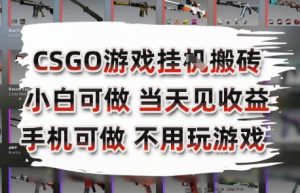 CSGO游戏挂G搬砖,小白纯手机即可操作,不用电脑打游戏,日入3张+,副业网创项目【揭秘】-赚金金-技能学习分享