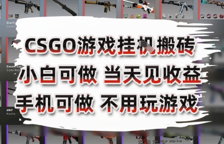CSGO游戏挂G搬砖，小白纯手机即可操作，不用电脑打游戏，日入3张+，副业网创项目【揭秘】-赚金金-技能学习分享