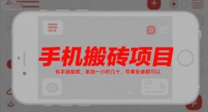 手机搬砖项目,有手就能做,亲测一小时几十,苹果安卓都可以-赚金金-技能学习分享