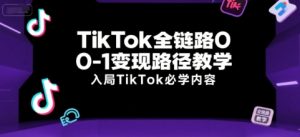 TikTok全链路0-1变现路径教学，入局TikTok必学内容-赚金金-技能学习分享