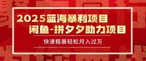 2025 最新闲鱼蓝海暴利项目 快速粗暴让你月入过1W不是梦,保姆级教程【揭秘】-赚金金-技能学习分享