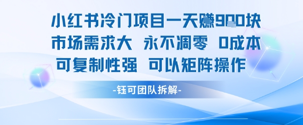 小红书冷门项目一天收益9张，市场需求大，0成本，可复制性强可以矩阵操作-赚金金-技能学习分享