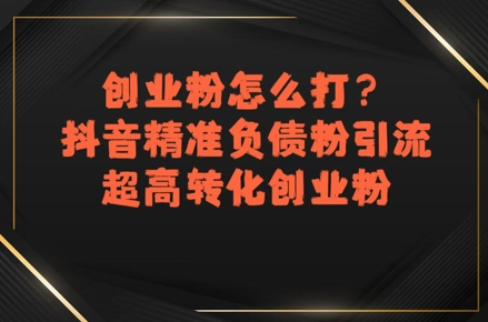 创业粉怎么打？抖音精准负债粉引流，超高转化创业粉-赚金金-技能学习分享