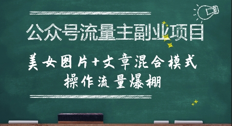 公众号流量主副业项目，美女图片+文章混合模式操作流量爆棚-赚金金-技能学习分享