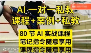AI指令实战课,课程+案例,80节AI实战课程,笔记指令随意享用,课程指令随意享用(更新7月)-赚金金-技能学习分享