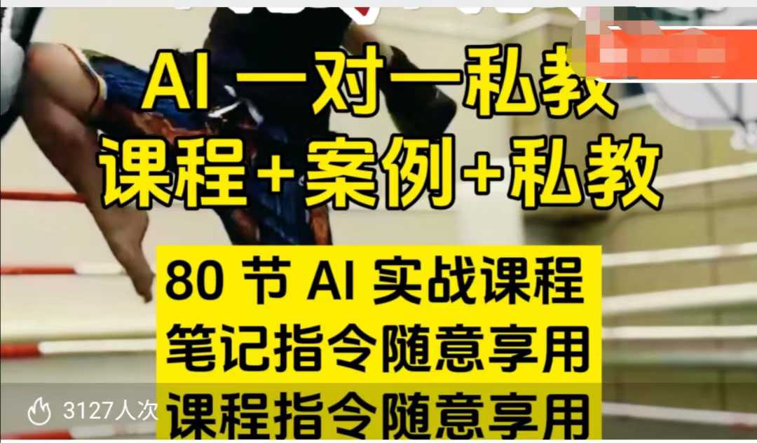 AI指令实战课，课程+案例，80节AI实战课程，笔记指令随意享用，课程指令随意享用（更新7月）-赚金金-技能学习分享