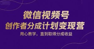 微信视频号创作者分成计划变现营,用心教学,直到取得分成收益-赚金金-技能学习分享
