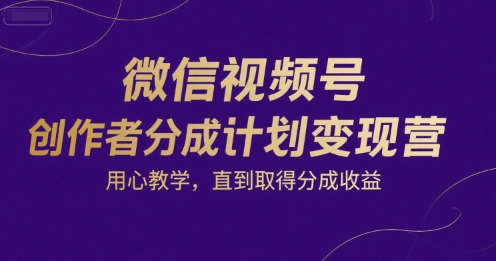 微信视频号创作者分成计划变现营，用心教学，直到取得分成收益-赚金金-技能学习分享