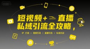 短视频+直播私域引流全攻略,IP打造 +视频引流 +直播引流 +私域沉淀-赚金金-技能学习分享