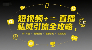 短视频+直播私域引流全攻略，IP打造 +视频引流 +直播引流 +私域沉淀-赚金金-技能学习分享
