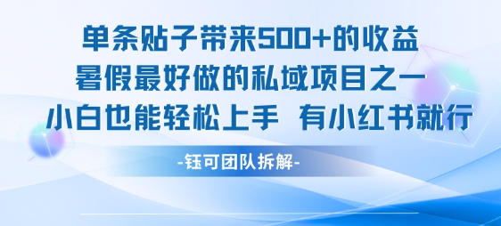 单条贴子带来5张的收益，暑假最好做的私域项目之一，小白也能轻松上手，有小红书就行-赚金金-技能学习分享