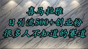 喜马拉雅,小而精的流量赛道,日进500+精准创业粉-赚金金-技能学习分享