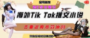 海外tiktok小说推文暴力项目,高停留率,高转化率,上手后一天搞顿饭钱不是问题-赚金金-技能学习分享