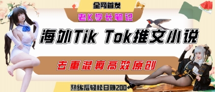 海外tiktok小说推文暴力项目，高停留率，高转化率，上手后一天搞顿饭钱不是问题-赚金金-技能学习分享