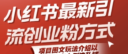 小红书最新引流创业粉方式，项目图文玩法介绍以及如何安全倒流私域-赚金金-技能学习分享
