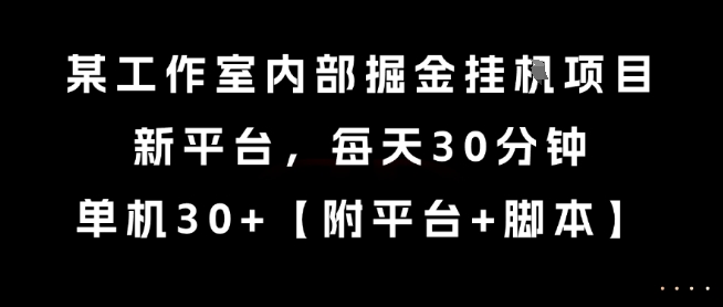 某工作室内部掘金挂G项目，新平台，每天30分钟，单机30+【揭秘】-赚金金-技能学习分享