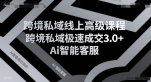 跨境私域线上高级课程,跨境私域极速成交3.0+Ai智能客服-赚金金-技能学习分享