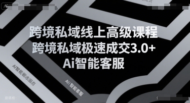 跨境私域线上高级课程，跨境私域极速成交3.0+Ai智能客服-赚金金-技能学习分享