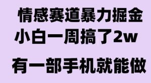 情感暴力掘金项目,新人操作一周挣了2W,长期稳定小白可做【揭秘】-赚金金-技能学习分享