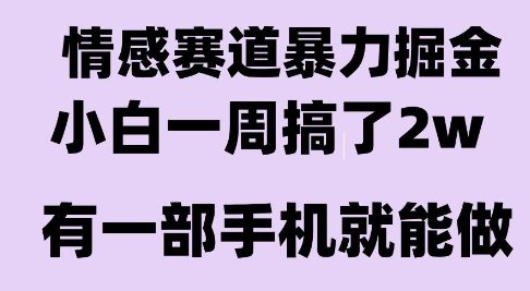 情感暴力掘金项目，新人操作一周挣了2W，长期稳定小白可做【揭秘】-赚金金-技能学习分享
