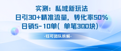 实测私域新玩法日引30加精准流量转化率50%日销5-10单每笔3张-赚金金-技能学习分享