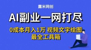 AI副业一网打尽0投入月入1W+视频文字绘图最全工具箱【揭秘】-赚金金-技能学习分享