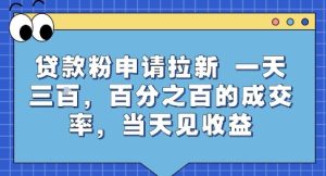 贷款粉申请拉新,一天三张,百分之百的成交率,当天见收益【揭秘】-赚金金-技能学习分享