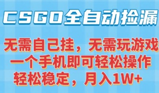 CSGO自动捡漏项目，最新独家玩法，一个手机可操作，新手小白轻松月入1W+，操作简单易上手【揭秘】-赚金金-技能学习分享