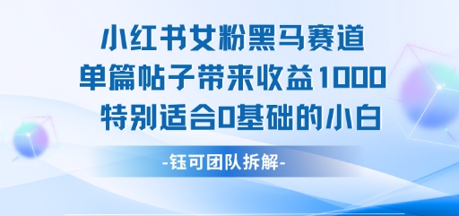小红书女粉黑马赛道单篇帖子带来收益1k+，特别适合0基础的小白-赚金金-技能学习分享
