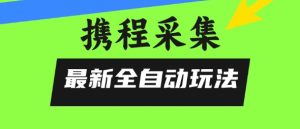 携程信息采集全自动玩法,0风控,无脑开干【揭秘】-赚金金-技能学习分享