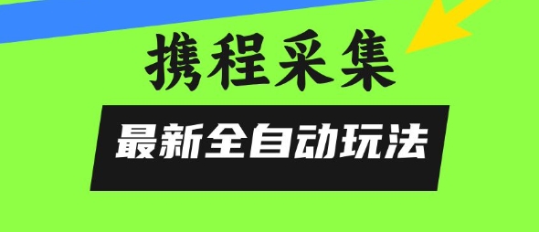 携程信息采集全自动玩法，0风控，无脑开干【揭秘】-赚金金-技能学习分享