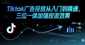 Tiktok广告投放从入门到精通,三位一体加强投流效果-赚金金-技能学习分享