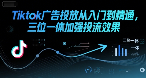 Tiktok广告投放从入门到精通，三位一体加强投流效果-赚金金-技能学习分享