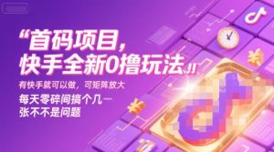 首码项目,快手全新0撸玩法,有快手就可以做,可矩阵放大,每天零碎时间搞个几张不是问题【揭秘】-赚金金-技能学习分享