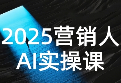 2025营销人Al实操课，AI营销抢跑实战，从Prompt到方案，效率碾压同行-赚金金-技能学习分享