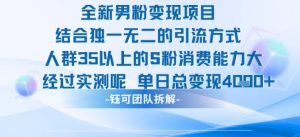 全新男粉变现项目引流人群35以上的男粉消费能力大 经过实测单日变现1k+-赚金金-技能学习分享