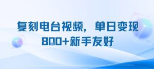 复刻电台视频,单日变现8张+新手友好,长期可做-赚金金-技能学习分享