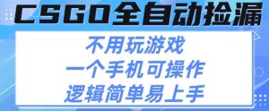 CSGO自动捡漏项目,最新独家玩法,不用挂G不用玩游戏,一个手机即可操作,新手小白轻松月入1W+【揭秘】-赚金金-技能学习分享