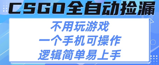 CSGO自动捡漏项目，最新独家玩法，不用挂G不用玩游戏，一个手机即可操作，新手小白轻松月入1W+【揭秘】-赚金金-技能学习分享
