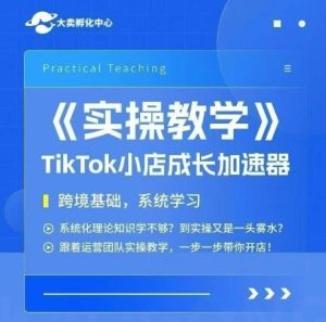 大卖家孵化中心TikTok实操课,TikTok小店成长加速器,跨境基础系统学习,一步一步带你开店-赚金金-技能学习分享