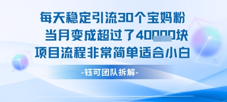每天稳定引流30个人 当月变成超过了4个W项目流程非常简单适合小白-赚金金-技能学习分享