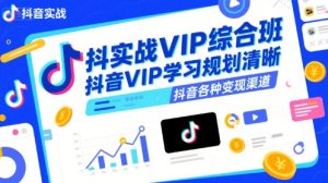 抖音实战VIP综合班,抖音VIP学习规划请晰抖音各种变现渠道-赚金金-技能学习分享