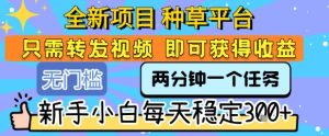 新个体创业黄金课:道法术器四维抢占2025红利-赚金金-技能学习分享